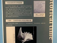 -金钉子远古世界景区