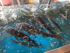 -红樽舫湖州菜.湖景餐厅(太湖渔人码头店)