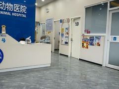 -芭比堂动物医院·CT·微创中心(新顺分院)