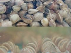 -三亚火车头万人海鲜广场