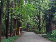 -同里国家湿地公园