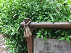 -厦门日月谷温泉渡假村