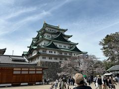 -名古屋城