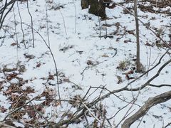 -东天目山风景区