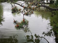 -上海醉白池公园
