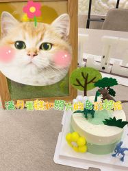 -安琪朵朵独栋花园月子中心