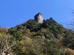 -青峰峡国家森林公园