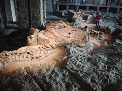 -自贡恐龙博物馆