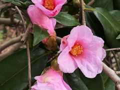 -杭州西湖风景名胜区-钱祠表忠