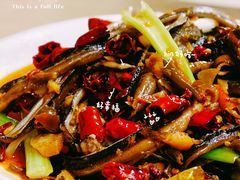 泡椒土鳝鱼-春涛餐馆(下坝店)