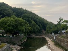 -北仑森林植物园