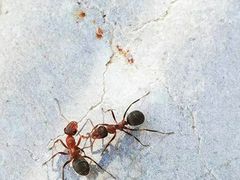 -敦煌莫高窟