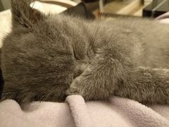 -TPLUS茶家(淮海店)