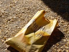 -天目山大树王景区