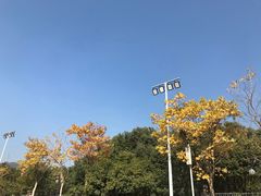 -浙江大学附属中学(丁兰校区)