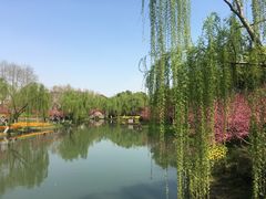 -圩墩遗址公园