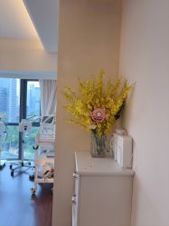 -哈颜科技轻美·