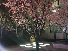 -和美电影艺术中心(万国城店)