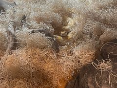 -海合安武汉极地海洋公园