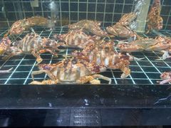 -阿南海鲜
