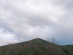 -苏木山森林公园