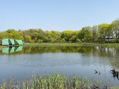 -西湖风景区-江洋畈生态公园