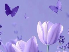 -紫丁香饭店-中餐厅