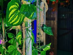 -明日世界密室轰趴·剧本桌游·箭馆团建(国贸店)