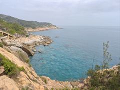 -广东惠东海龟国家级自然保护区