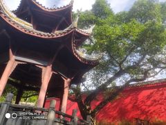 -峨眉山报国寺