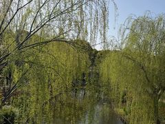 -上海鲜花港