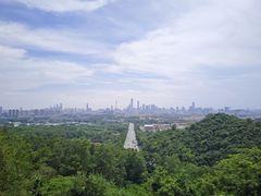 -火炉山森林公园