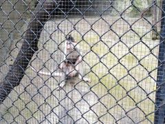 -泉州海丝野生动物世界