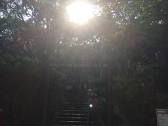 -狮子山郊野公园