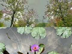-海珠儿童公园