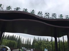 -黄海国家森林公园