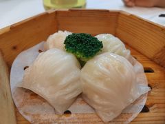 -四季海鲜酒楼·粤菜·早茶·宴会(南山中心区店)