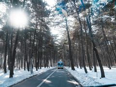 -长春净月潭风景名胜区