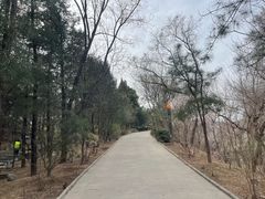 -周口店北京人遗址公园