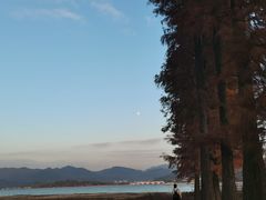 -四明湖