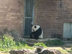 -苏州太湖国家湿地公园