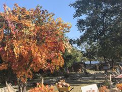 -HERRE·FARM 赫尔露营农场·团建聚会包场