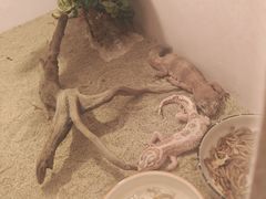 -兴隆文化园景区