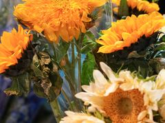 -循礼门鲜花花市(武汉循礼门店)