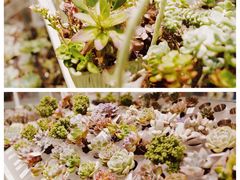 -KKV(深圳宏发大仟里店)