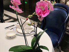 -Yan Ting 宴庭中餐厅(上海静安瑞吉酒店)