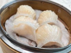 -東海薈。拉斐特(青衣城店)