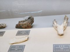 -重庆中国三峡博物馆(重庆博物馆)