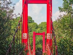 -上海吴淞炮台湾国家湿地公园