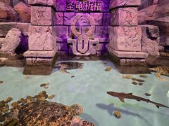 -哈尔滨波塞冬海底世界